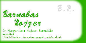 barnabas mojzer business card